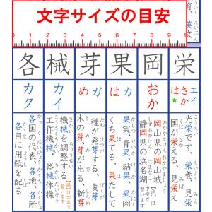 「4年生の漢字と使い方」【封筒発送】 使うこと...の詳細画像1