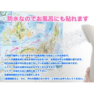 「学べる世界史 ワイドサイズ お風呂用 」4枚...の詳細画像5