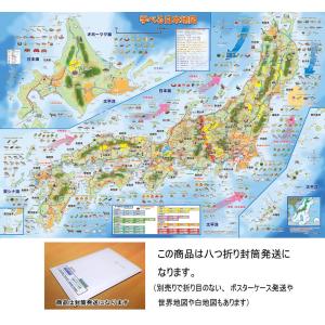 「学べる日本地図 」【封筒発送】 小中学校の教育に合わせた日本地図　５歳〜中学受験に  /オリジナル商品