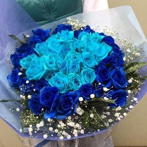 水色と青いバラの花束　ブルーファンタジー　バラ50本＆カスミ草、グリーン付きバラの花束　(生花)お祝い・記念日・誕生日・フラワーギフト