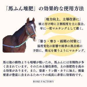 バラ専用 完熟馬ふん堆肥 プレミアム 12リッ...の詳細画像2