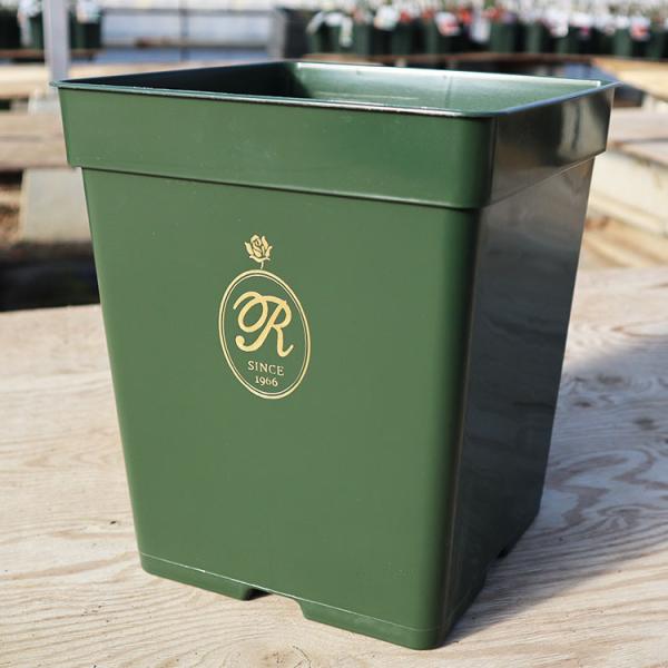 THE ROSE SHOP オリジナル8号角鉢 (あすつく対象)