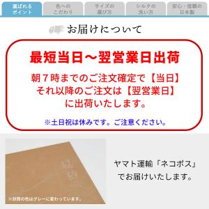 【ROSHA】敏感肌でも安心★スマートシルクイ...の詳細画像2