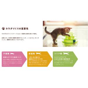 フィジカライフ 子猫用 チキン入り 500g ...の詳細画像1