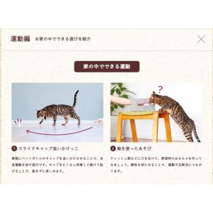 フィジカライフ 子猫用 チキン入り 500g ...の詳細画像3