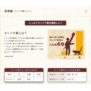 フィジカライフ 子猫用 チキン入り 500g ...の詳細画像4