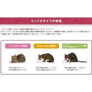 フィジカライフ 子猫用 チキン入り 500g ...の詳細画像5