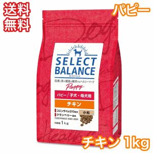 セレクトバランス チキン パピー 小粒 子犬 母犬用 1kg ドッグフード 送料無料 賞味期限2025年5月31日｜rossa