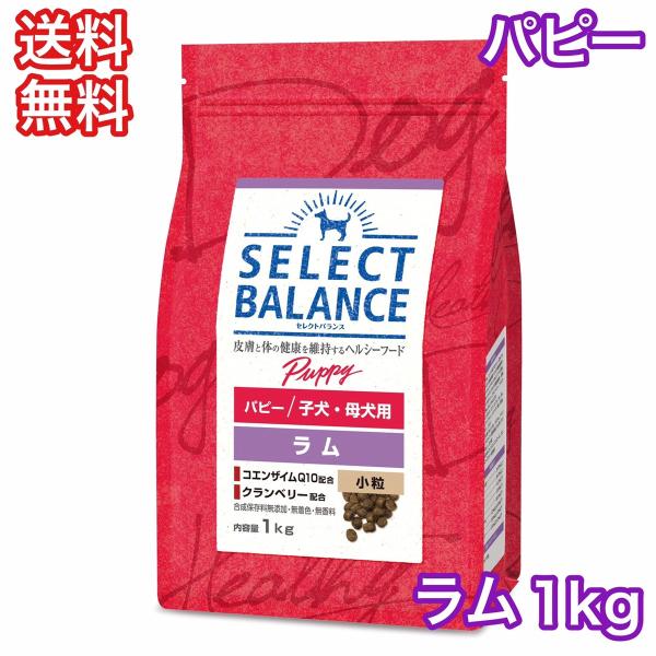 セレクトバランス ラム パピー 小粒 子犬 母犬用 1kg ドッグフード 送料無料