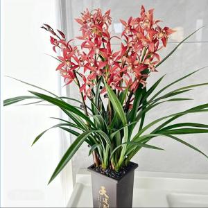 造花 フェイクグリーン 鉢付き 大型 リアル 人工観葉植物 鉢植え インテリアグリーン 人工植物装飾 本物そっくり 枯れない 水やり不要