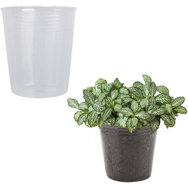 50個のクリアナーサリーポット 排水穴のあるクリアポット 苗 挿し木用の園芸ポット植栽コンテナ