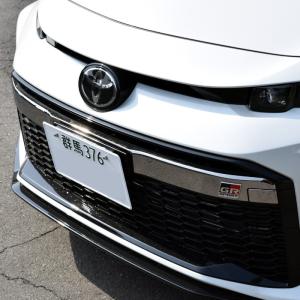 ロッソモデロ ナンバーステー Virile プ...の詳細画像2