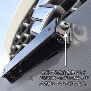 ロッソモデロ ナンバーステー Virile プ...の詳細画像3