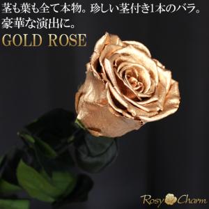 金色のバラ 1本 プリザーブドフラワー 【ゴー...の詳細画像2