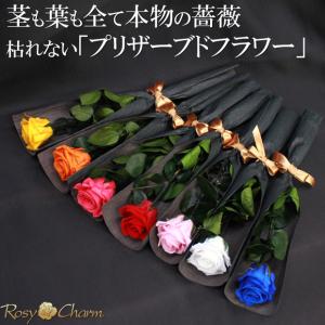 プリザーブドフラワー バラ 一本 クリアケース...の詳細画像3
