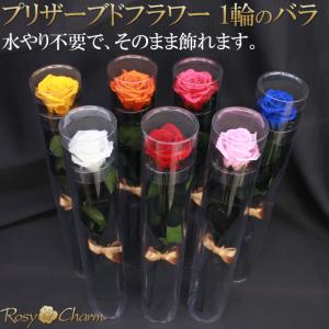 プリザーブドフラワー バラ 一本 クリアケース...の詳細画像5