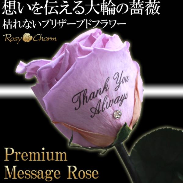 大輪 紫のバラ【プレミアム】 メッセージローズ プリザーブドフラワー 1本 誕生日 プレゼント 記念...