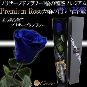 大輪 青いバラ 1本 プレミアムローズ プリザ...の詳細画像4