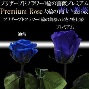 大輪 青いバラ 1本 プレミアムローズ プリザ...の詳細画像5