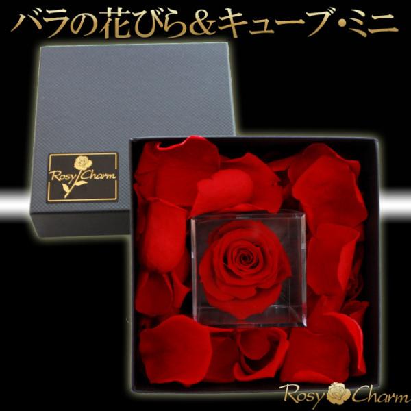 バラの花びら＆キューブローズ・ミニ 【メッセージフラワー】 プリザーブドフラワー 誕生日プレゼント ...