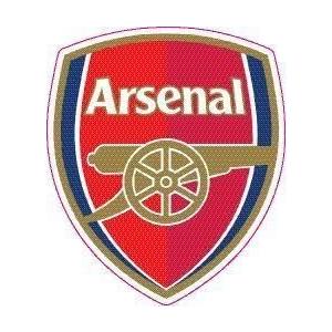 アーセナル ステッカーの商品一覧 通販 Yahoo ショッピング