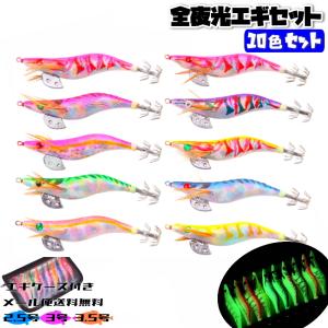 エギ 10本 セット エギング 2.5号 3号 3.5号 ケース付 ラトル入り 夜光