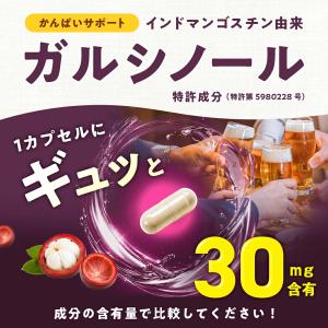 ガルシノール 酢酸菌酵素 高含有 肝ケア サプ...の詳細画像1