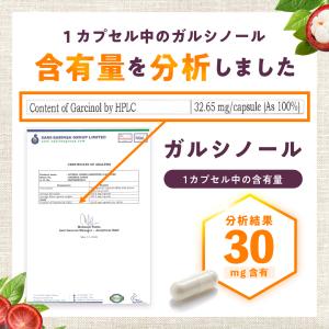 ガルシノール 酢酸菌酵素 高含有 肝ケア サプ...の詳細画像2