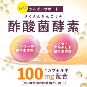 3個セット ガルシノール 酢酸菌酵素 高含有 ...の詳細画像3