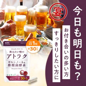 3個セット ガルシノール 酢酸菌酵素 高含有 ...の詳細画像4