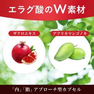 エラグ酸 サプリ 132mg 高配合 溢れるエ...の詳細画像5