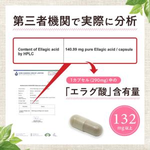 エラグ酸 サプリ 132mg 高配合 溢れるエ...の詳細画像4
