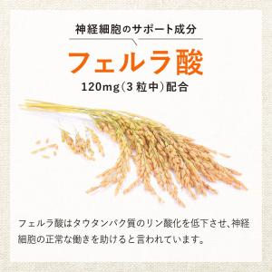 認知機能 記憶力 維持する バコパ フェルラ酸...の詳細画像5
