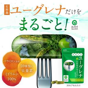 まるごと ユーグレナ みどりむし 100% ユ...の詳細画像1