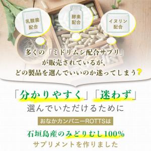 まるごと ユーグレナ みどりむし 100% ユ...の詳細画像2