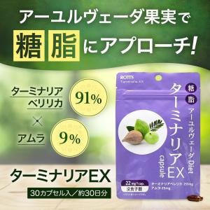 ターミナリアベリリカ 91% 高配合 [3個セ...の詳細画像1