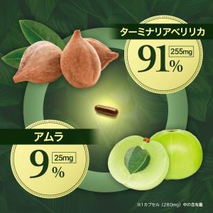 ターミナリアベリリカ 91% 高配合 [3個セ...の詳細画像2