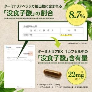 ターミナリアベリリカ 91% 高配合 [3個セ...の詳細画像3