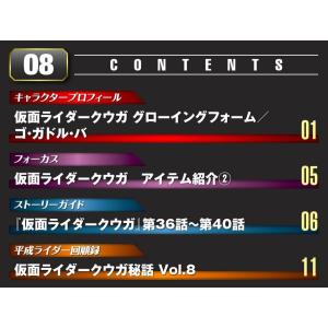 仮面ライダーDVDコレクション平成編 第8号 ...の詳細画像1