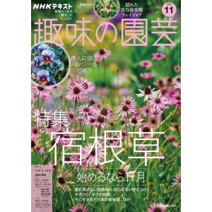 趣味の園芸　2025年11月号