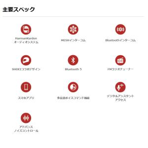 処分特価 SENA 0411284 セナ SR...の詳細画像5
