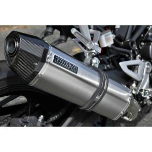 CB250R　BEAMS　スリップオン　マフラー　CORSA-EVOⅡ　ステン BEAMS（ビームス） バイク マフラー CB250R 8BK-MC52 CORSA-EVOII