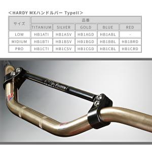 処分特価 HARDY HB1CTI ハーディ ...の詳細画像2