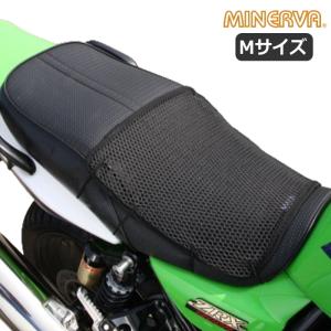 マジカルレーシング 001-ZX252-04AS ZX-25R カーボントリムスクリーン
