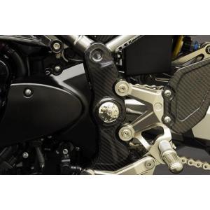 DUCATI Monster S2R/S4/S4R カーボンチェーンガードセット : 輸入