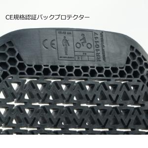ラフアンドロード RR10117 CE-LEV...の詳細画像3