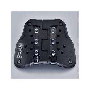 TAICHI RSタイチ TRV063 TECCELL CHEST PROTECTOR テクセルチェスト