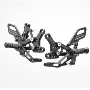 STRIKER（ストライカー） スペシャルステップキット `21〜`22 NinjaZX