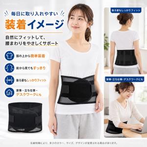 腰サポーター 腰用ベルト 通気性メッシュ 4本...の詳細画像3