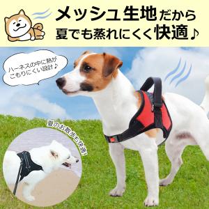 ハーネス 犬 脱げない 中型犬 大型犬 小型犬...の詳細画像2